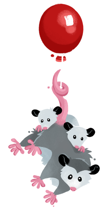 Three possums on a red balloon